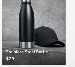 Stainless Steel Bottle product photo