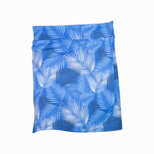 Palmier Bleue